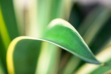 保护伞公司经营模拟器《医魔商道》正式确定将于5月3日推出